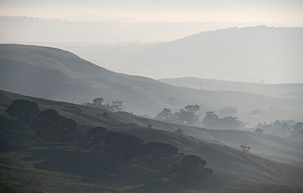 Photo Tip of the Week: Use the Power of Telephoto